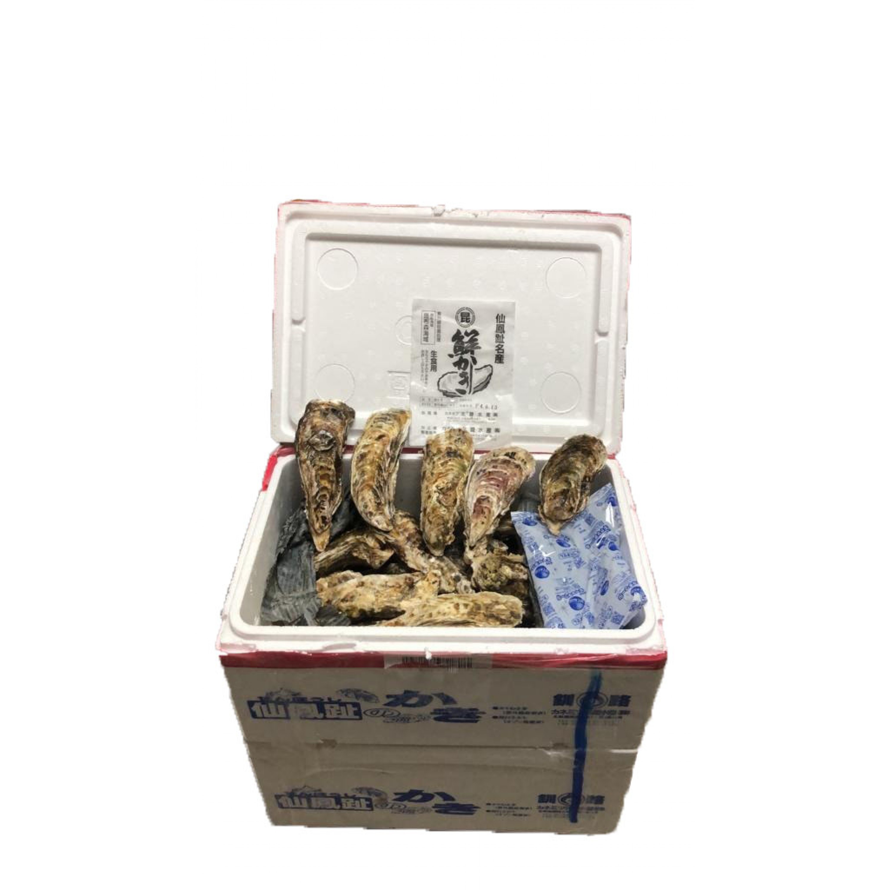 北菱水產-仙鳳趾(北海道昆布森產) L SIZE